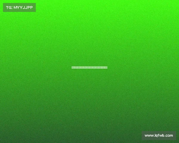 惠特摩尔谈夏联目标：保持高强度表现，助力球队争冠